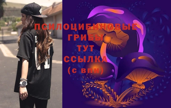 соль ск Нея