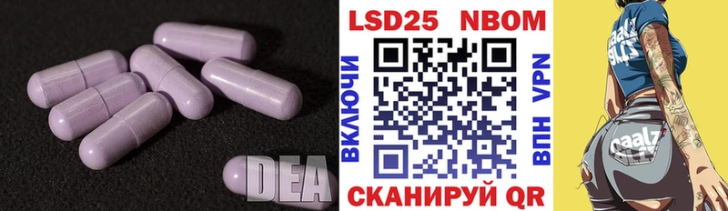 магазин продажи наркотиков  Пустошка  LSD-25 экстази ecstasy 