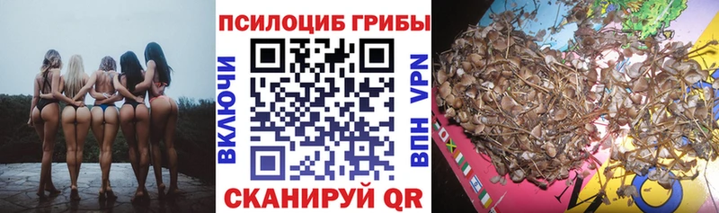 как найти закладки  ссылка на мегу как зайти  Псилоцибиновые грибы Psilocybine cubensis  Пустошка 